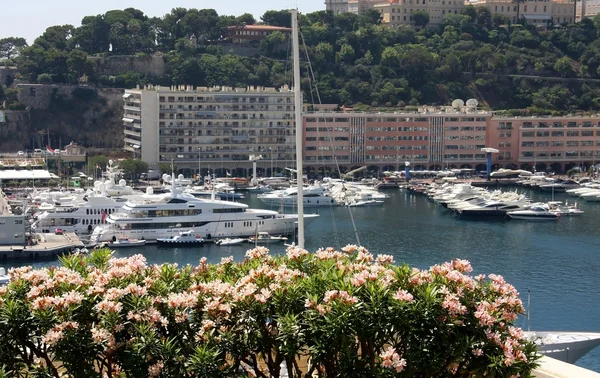 Harbor at Monte Carlo, Monaco — Stock Photo, Image