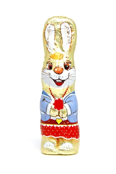 Çikolata Paskalya tavşanı — Stok fotoğraf