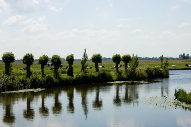 Dutch landscape clipart