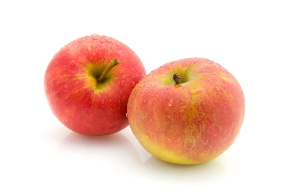 Två saftiga äpplen — Stockfoto