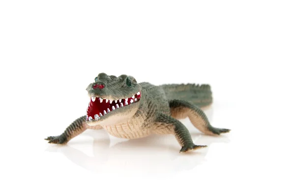Крокодиловая игрушка — стоковое фото