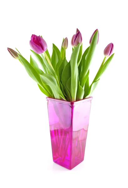 Holandské tulipány v růžová váza — Stock fotografie