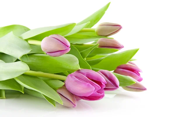 Bouquet di tulipani rosa in primo piano — Foto Stock