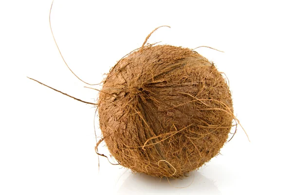 Świeżego kokosa miejscowego — Zdjęcie stockowe