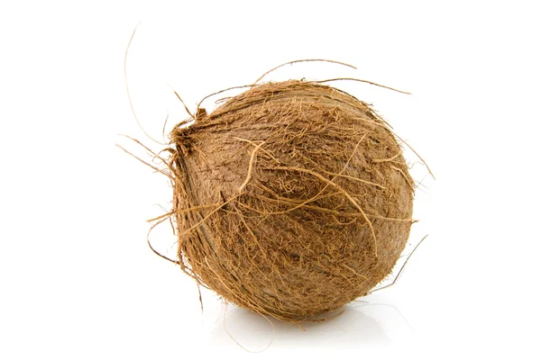 Fresh topical coconut — Stock Photo, Image