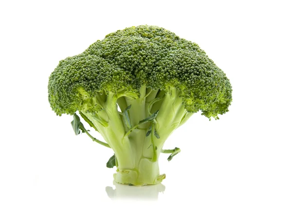 Brócoli fresco — Foto de Stock