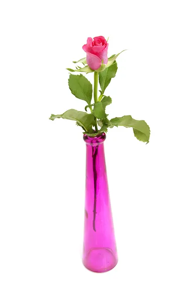 Pink rose and vase — Stock Photo, Image