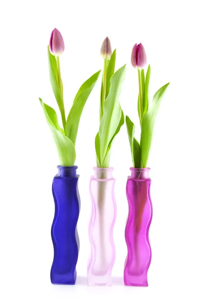 Tres tulipanes holandeses en jarrón —  Fotos de Stock