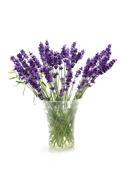 Plucked lavender in glass vase — Stock Photo, Image