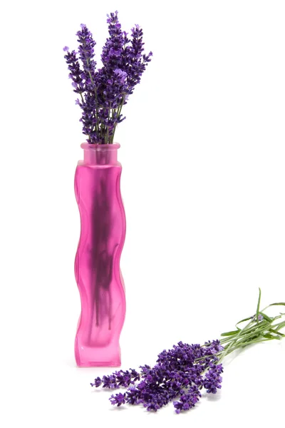 Geplukt lavendel in roze glazen vaas — Stockfoto