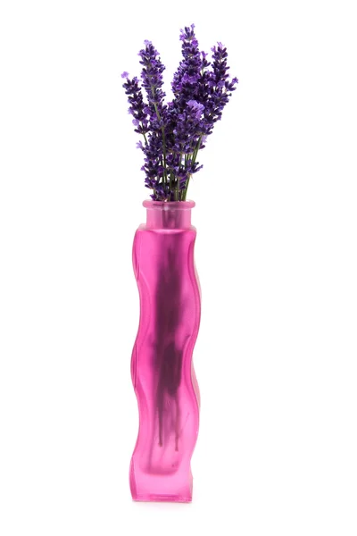 Gezupfter Lavendel in rosa Glasvase — Stockfoto