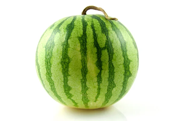 Fres grüne Wassermelone — Stockfoto