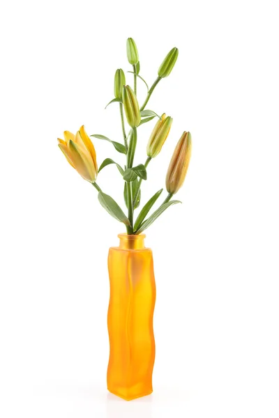 Orange liliy flowers — Stock Photo, Image