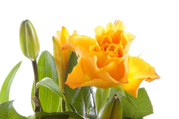 Narancssárga virágok: rózsa és a liliom — Stock Fotó
