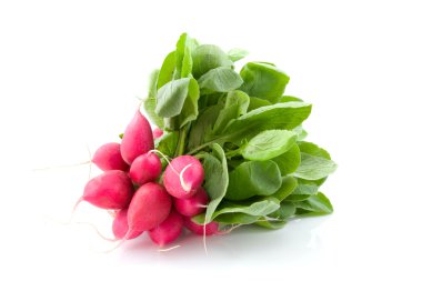 Bunch of radishes