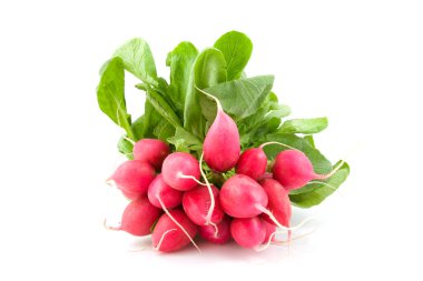 Bunch of radishes