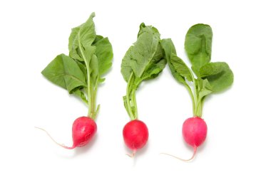 Bunch of radishes