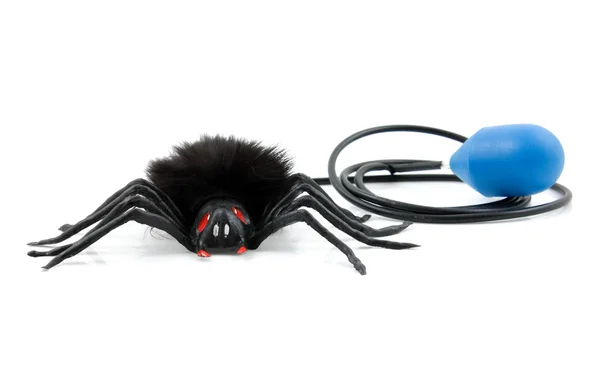 Чёрная игрушка-паук — стоковое фото
