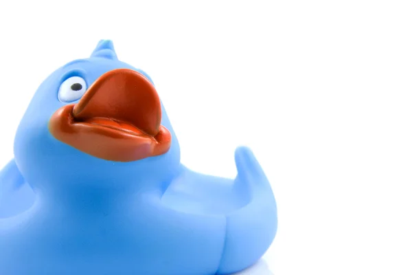 Big blue gumovou kachnu na bílém pozadí — Stock fotografie