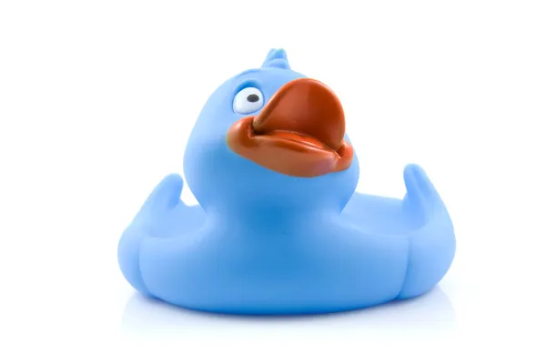 Um pato de borracha azul grande — Fotografia de Stock