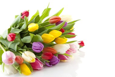 Bouquet of colorful Dutch tulips clipart
