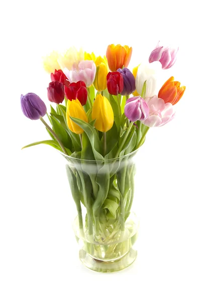 Colorful Dutch tulips in vase — Stock Photo, Image