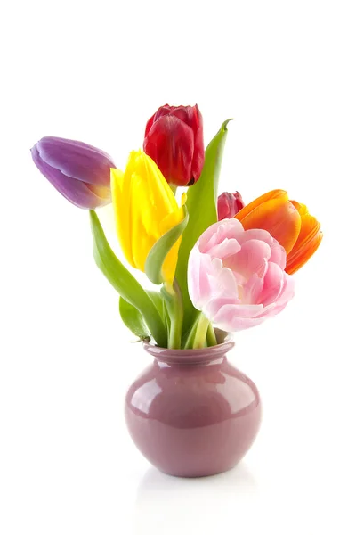 Tulipas holandesas coloridas em vaso — Fotografia de Stock