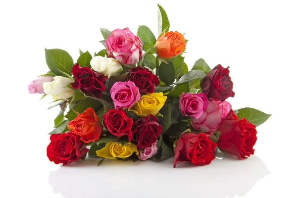 Bukiet kolorowych róż — Zdjęcie stockowe