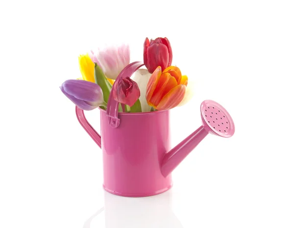 Różowy konewka z kolorowe tulipany — Zdjęcie stockowe
