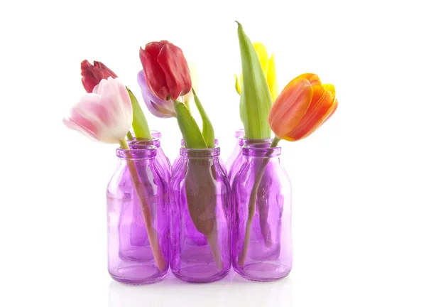 Tulipes colorées dans des vases roses — Photo