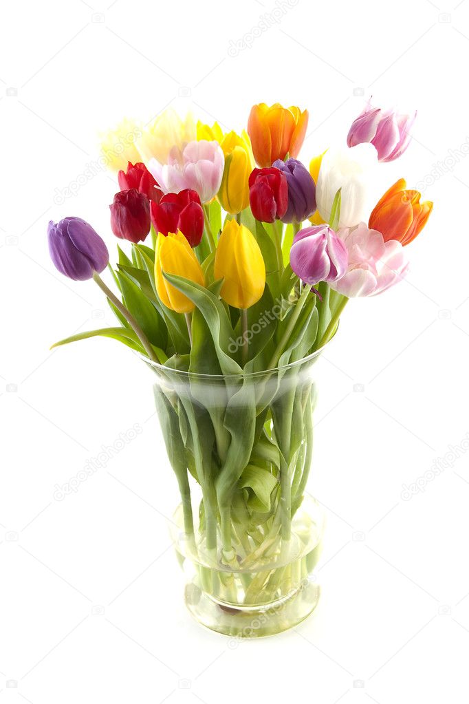 Colorful Dutch tulips in vase