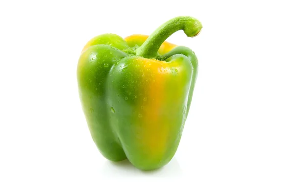 Fresh green paprika — Stock Photo, Image