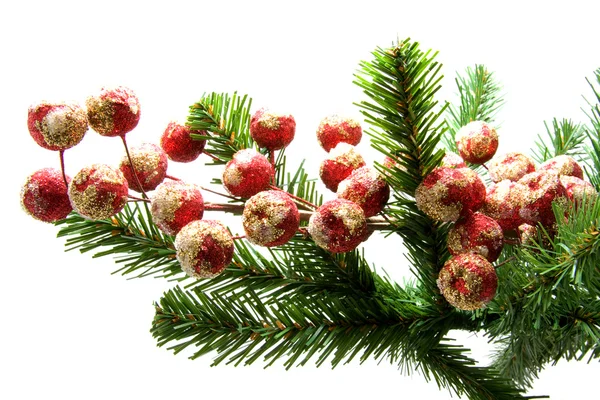 Little red christmas balls on a tree — Stock Photo, Image