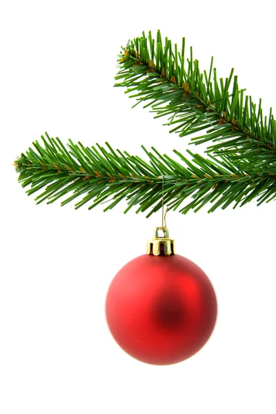 Red christmas ball on a tree — Stock Photo, Image