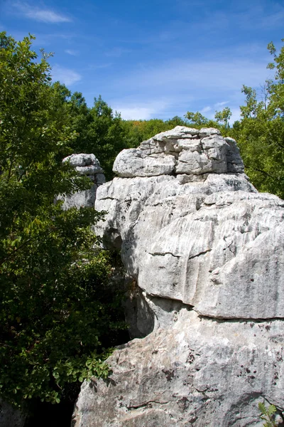 Paisaje con rocas y árboles — Foto de Stock