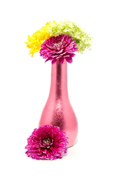 Dahlia bloemen in vaas — Stockfoto