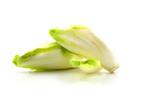 Chicory vegetable — Stock Photo, Image