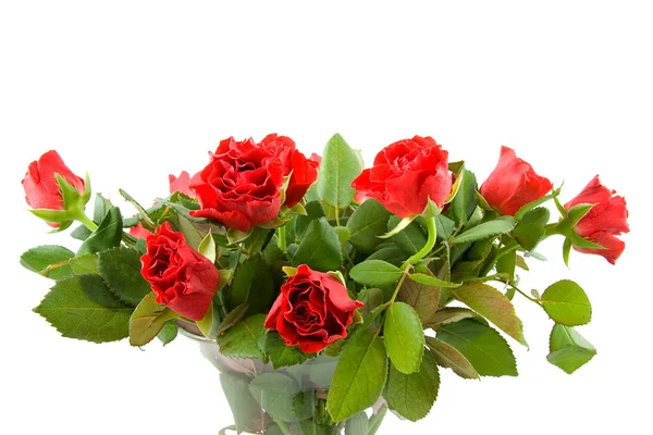 Bouquet di rose rosse in vaso — Foto Stock