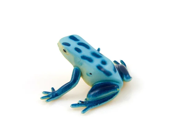 Пластиковая синяя лягушка — стоковое фото