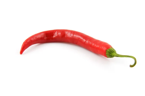 stock image Fresh red hot pepper