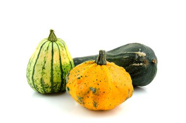 Different kind of gourds clipart