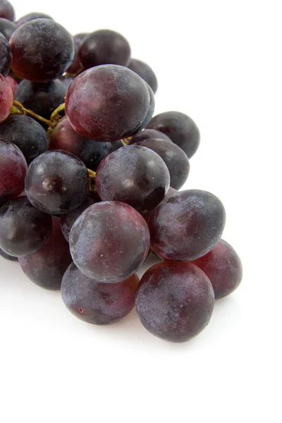 Кластер свежего голубого винограда — стоковое фото