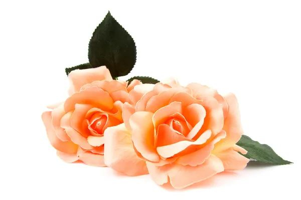 Rose arancio seta — Foto Stock
