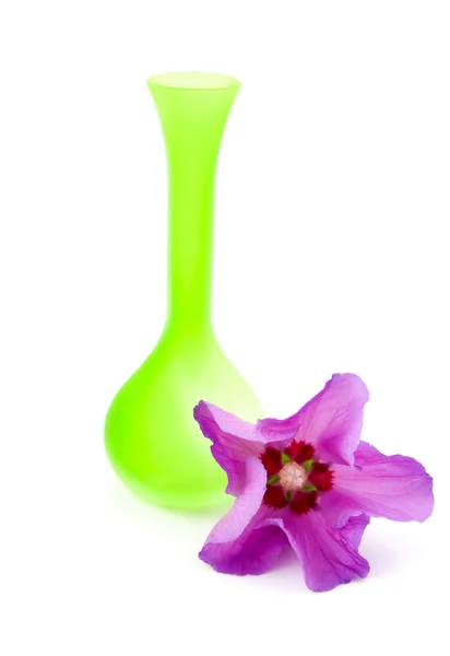 Green vase with pink hibiscus — Stock Photo, Image