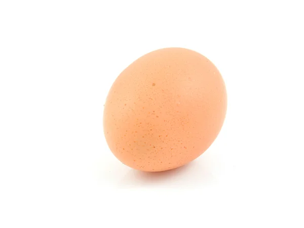 Ein einziges Ei — Stockfoto