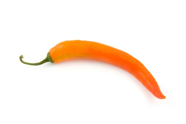 stock image One fresh orange hot pepper