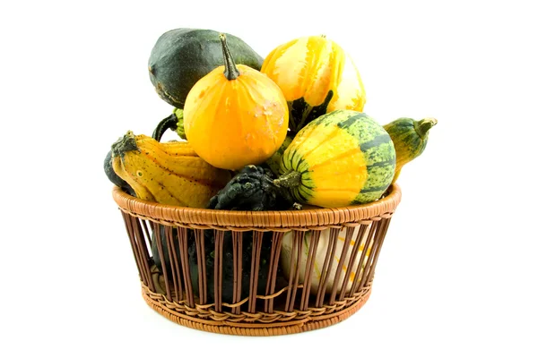 Basket with gourds — Stock Photo, Image