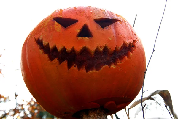 Cara assustadora de Halloween — Fotografia de Stock