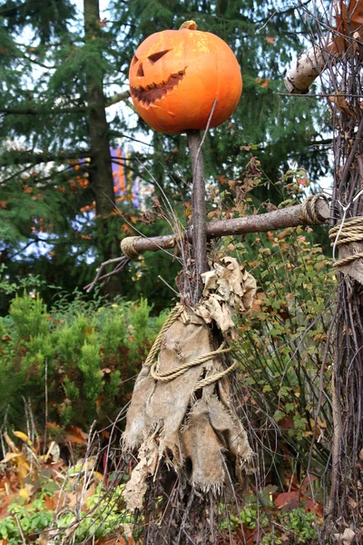 Gelukkig halloween scarecrow — Stockfoto
