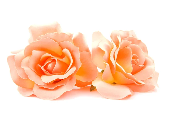Rosas naranjas de seda — Foto de Stock
